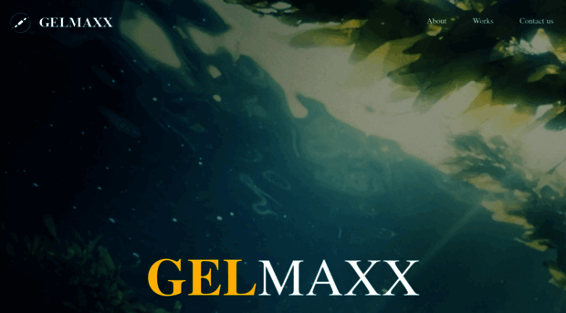 gelmaxx.com