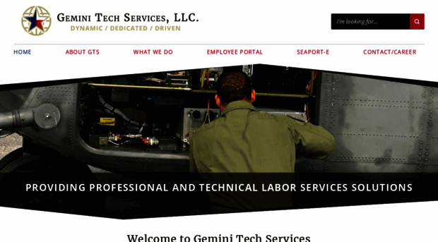 geminitechservices.com