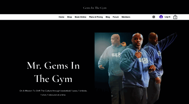 gemsinthegym.net