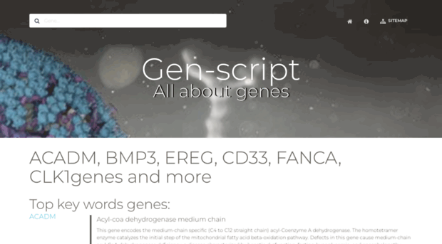 gen-script.com