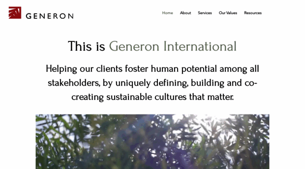 generoninternational.com