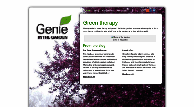 genieinthegarden.com