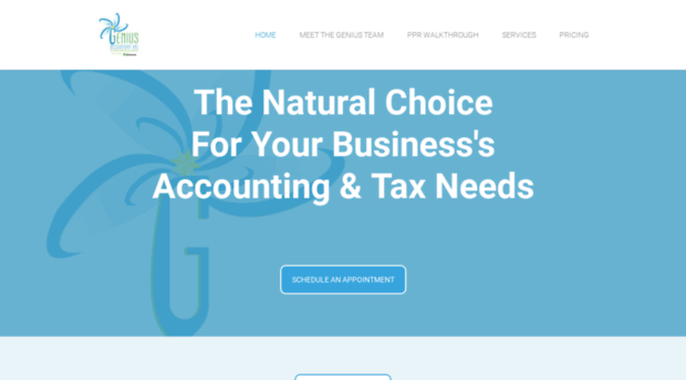 geniusaccountant.com