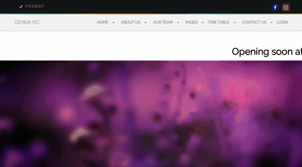 geniusinc.in