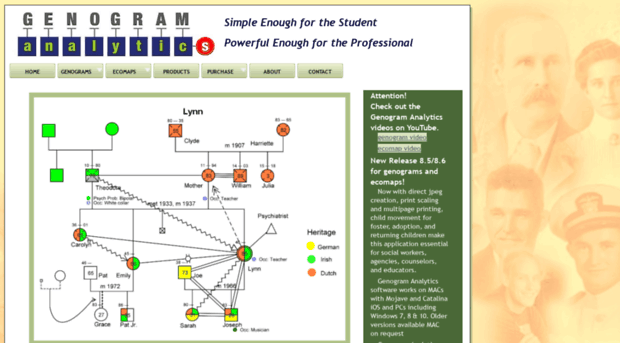 genogramanalytics.com