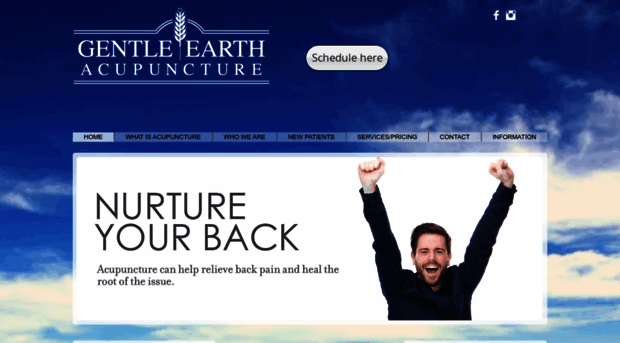 gentleearthacupuncture.com