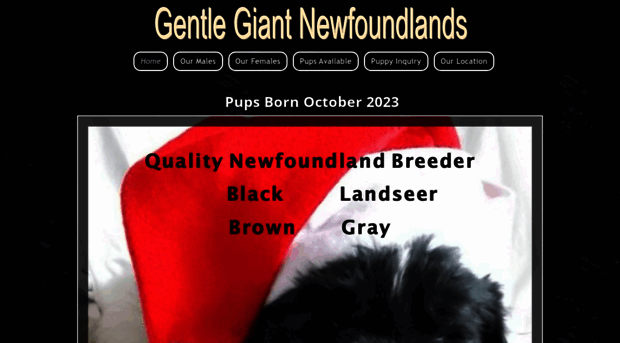 gentlegiantnewfoundlands.com