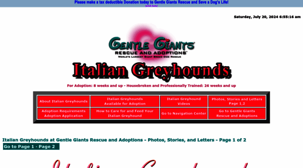 gentlegiantsrescue-italian-greyhounds.com