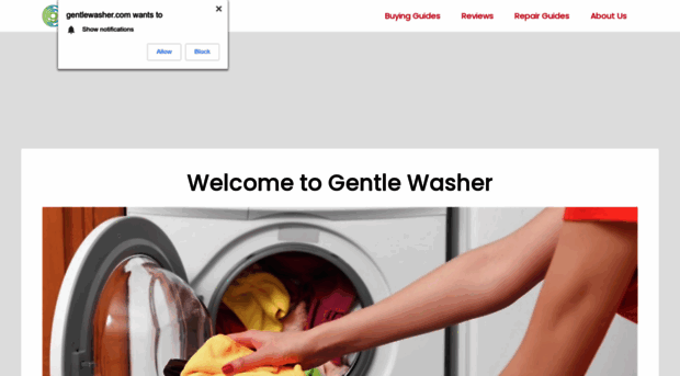 gentlewasher.com