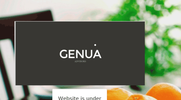 genua-advisors.com