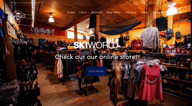 georgesskiworld.com