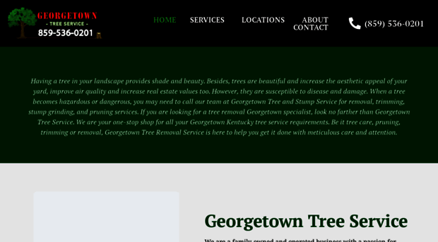 georgetowntreeandstumpservice.com