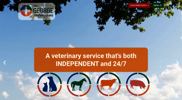 georgevetgroup.co.uk