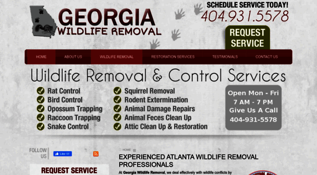 georgia-wildlife-removal.com
