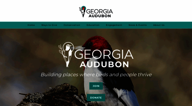 georgiaaudubon.org