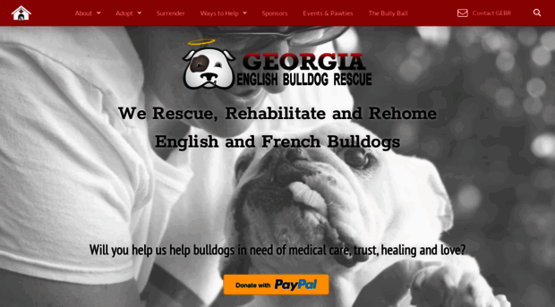 georgiaenglishbulldogrescue.org