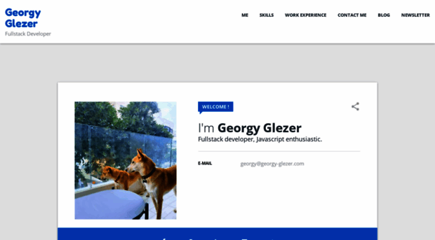 georgy-glezer.com