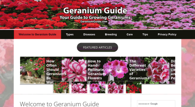 geraniumguide.com