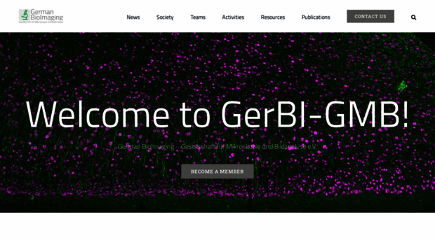 gerbi-gmb.de