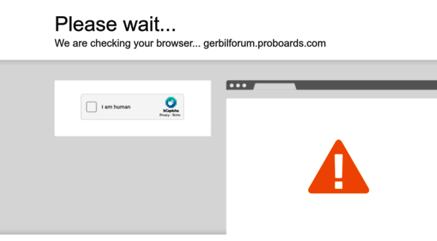gerbilforum.proboards.com