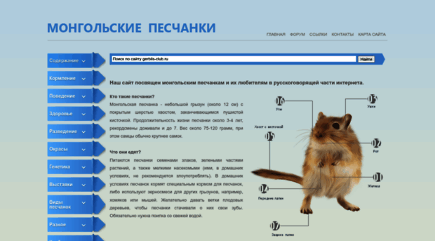 gerbils-club.ru