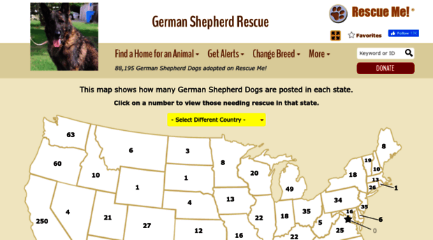 germanshepherd.rescueme.org