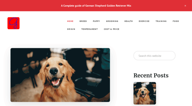 germanshepherdgoldenretrievermix.com