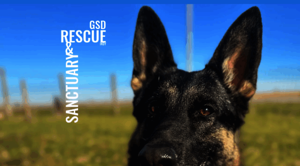 germanshepherdrescueindy.com