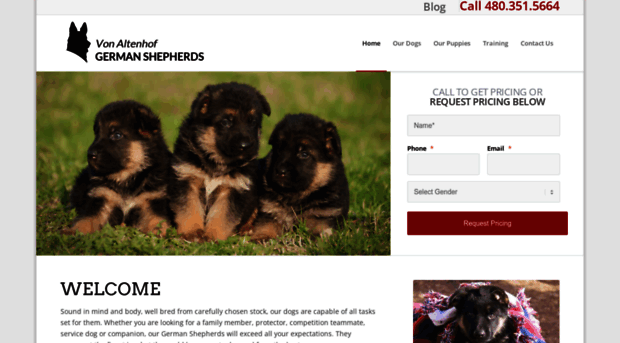 germanshepherdsaz.com