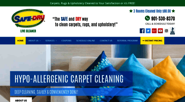 germantowntncarpetcleaning.com