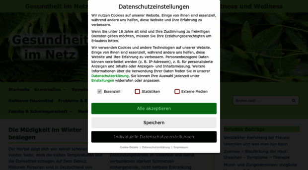 gesundheit-im-netz.net