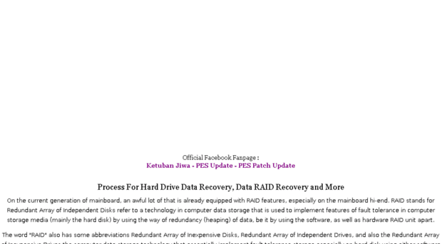 get.data-raid-recovery-link.com