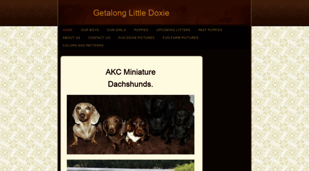 getalonglittledoxie.com