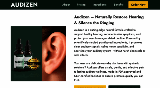 getaudizen.us