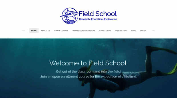 getintothefield.com