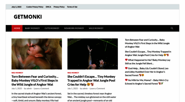 getmonki.info