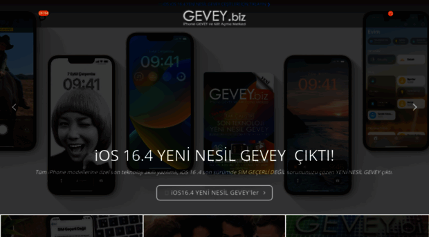 gevey.biz