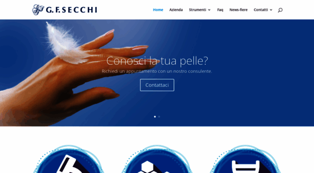 gfsecchi.it