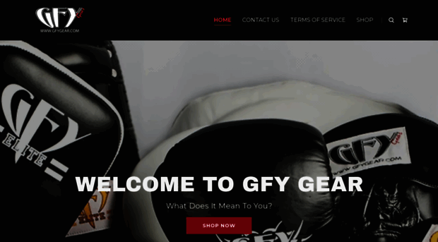 gfygear.com