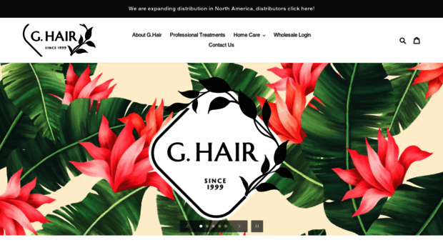 ghairprofessional.com