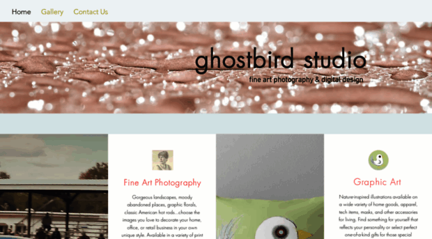 ghostbirdstudio.com