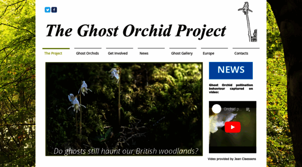 ghostorchidproject.co.uk