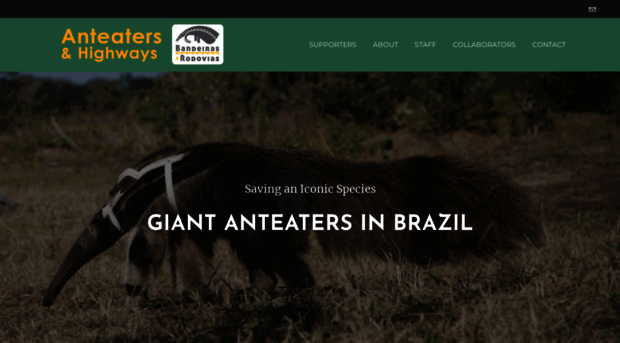 giantanteater.org