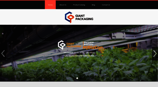 giantpkg.com