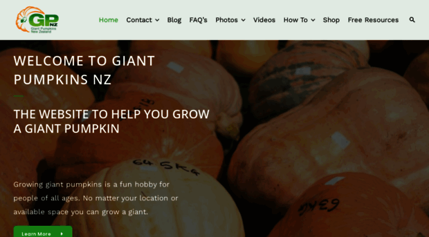 giantpumpkins.co.nz