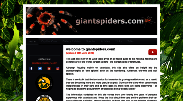 giantspiders.com
