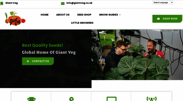 giantveg.co.uk