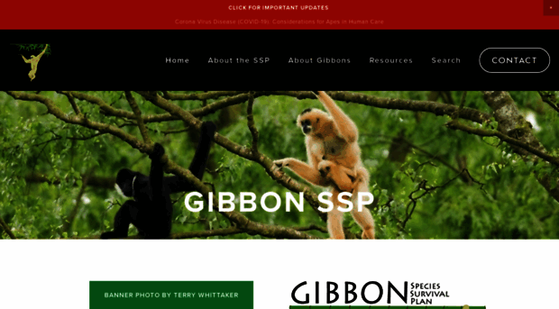 gibbonssp.org