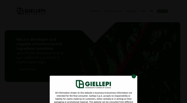 giellepi.com