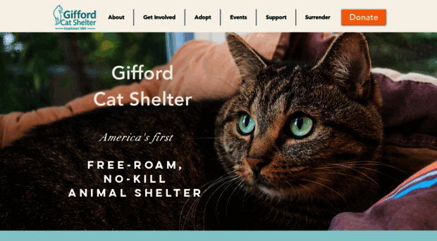 giffordcatshelter.org